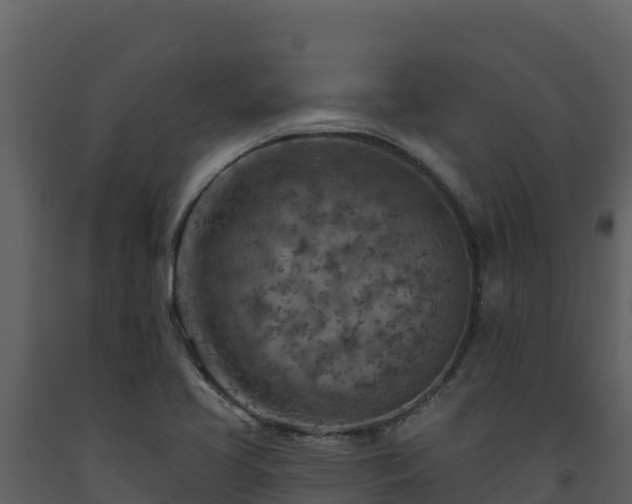 X0000093471413200710191135