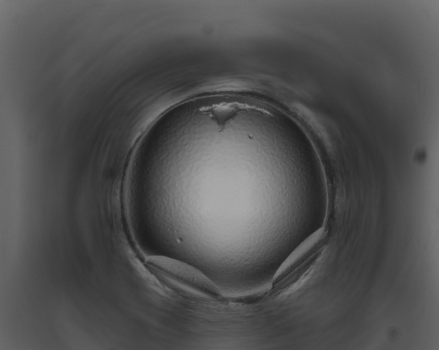 X0000093471417200710191135