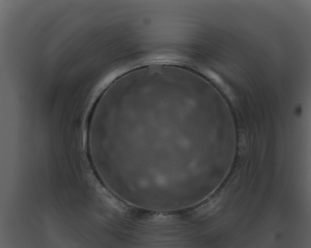 X0000093471419200710191135