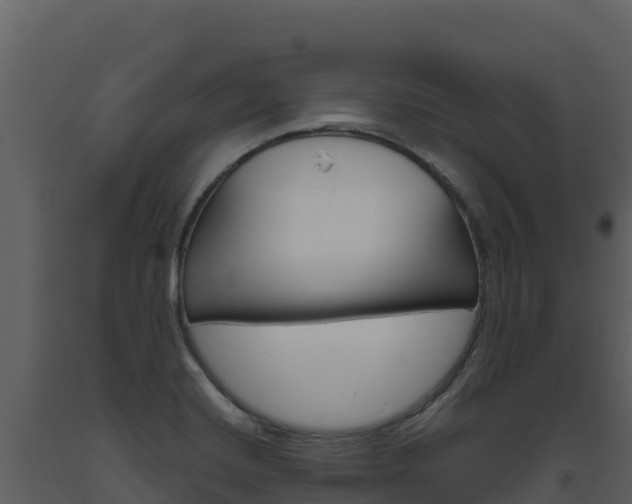 X0000093471420200710191135