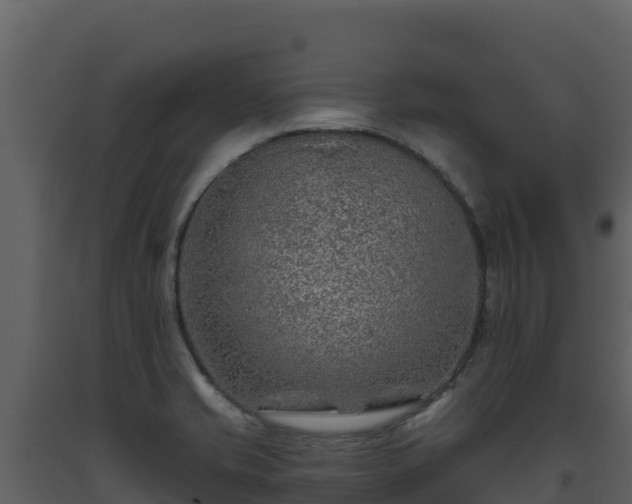 X0000093471421200710191135