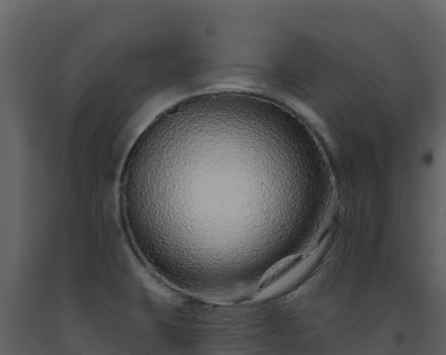 X0000093471423200710191135