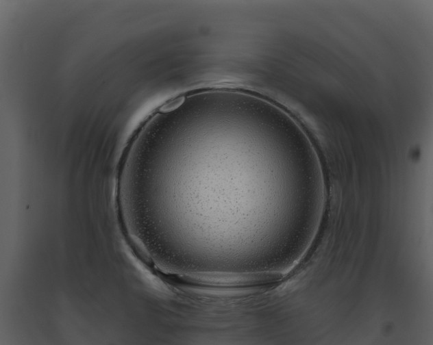 X0000093471424200710191135