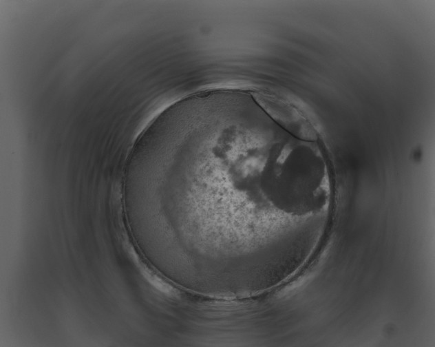 X0000093471425200710191135