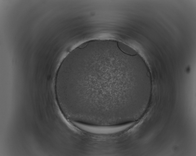 X0000093471429200710191135