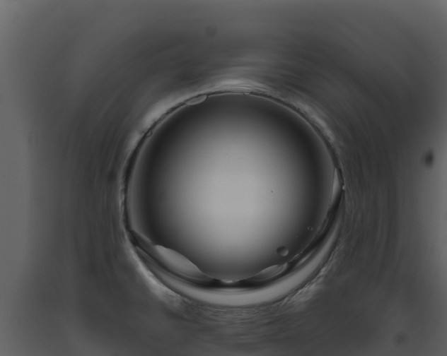 X0000093471430200710191135