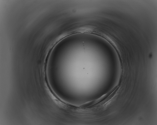 X0000093471434200710191135