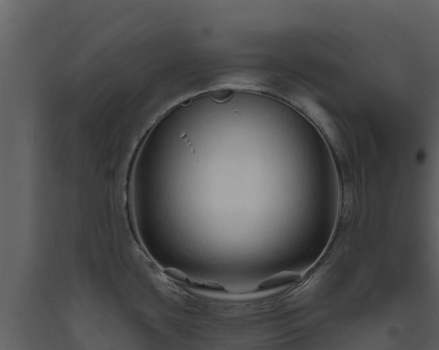 X0000093471435200710191135