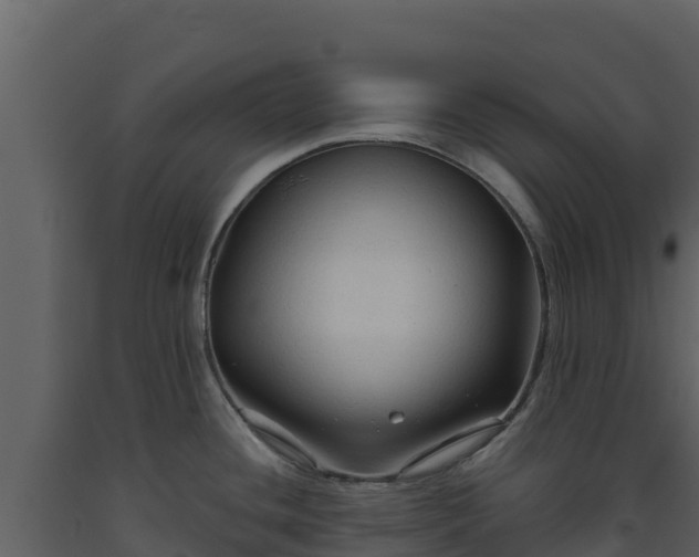 X0000093471436200710191136