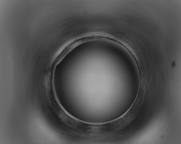 X0000093471438200710191136