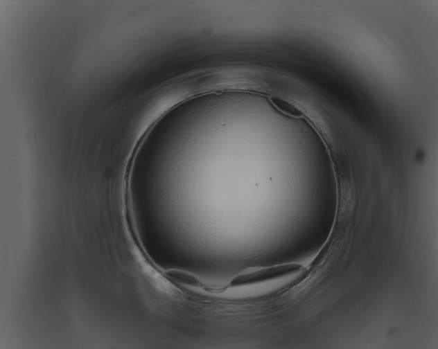 X0000093471439200710191136