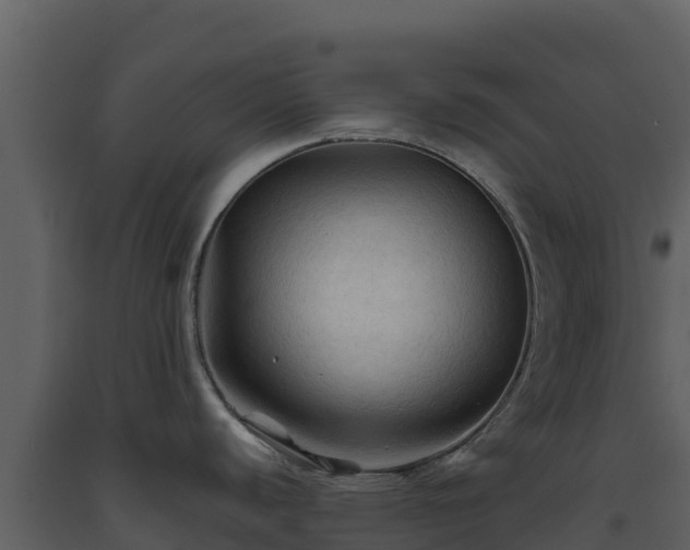 X0000093471440200710191136