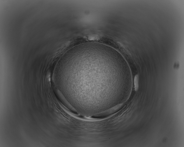 X0000093471443200710191135