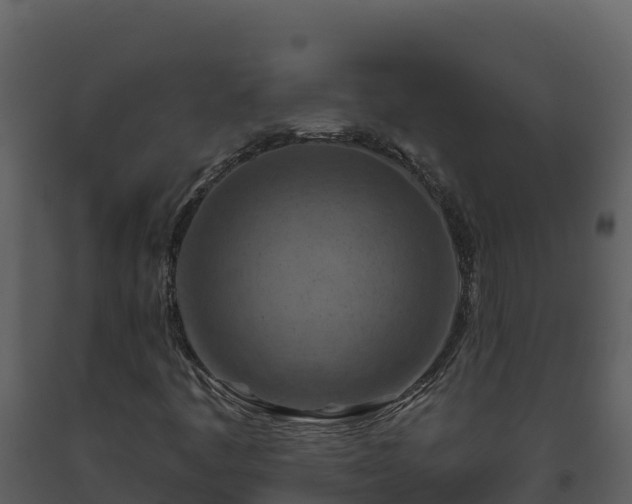 X0000093471445200710191135