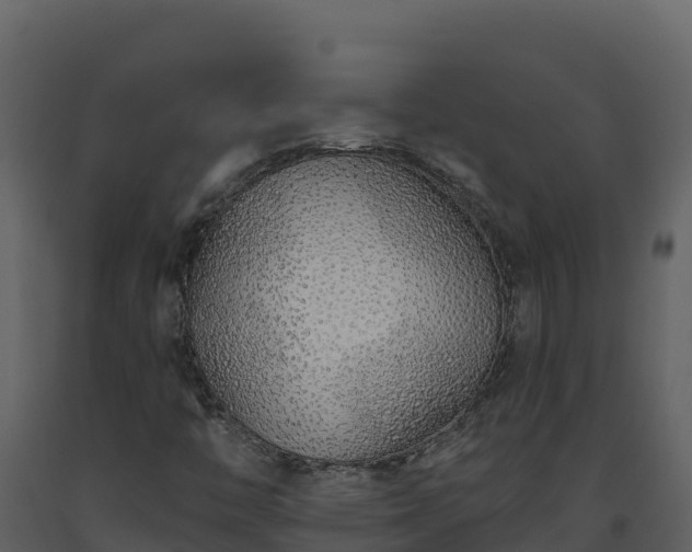 X0000093471446200710191135