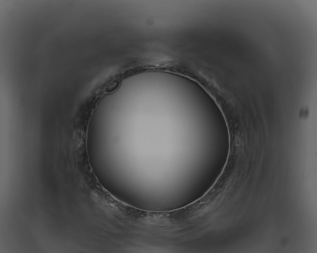 X0000093471447200710191135