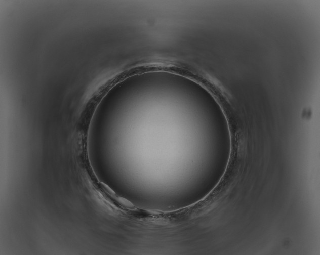 X0000093471448200710191135