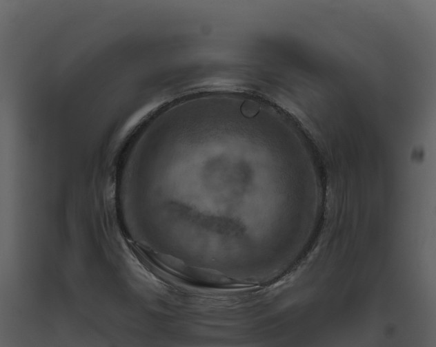 X0000093471450200710191135