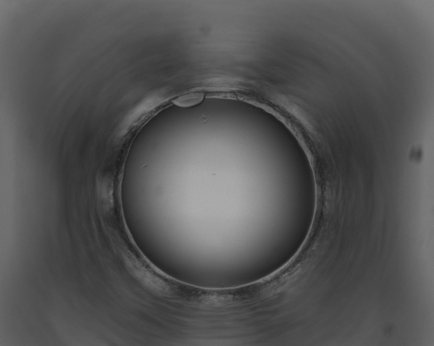 X0000093471451200710191135