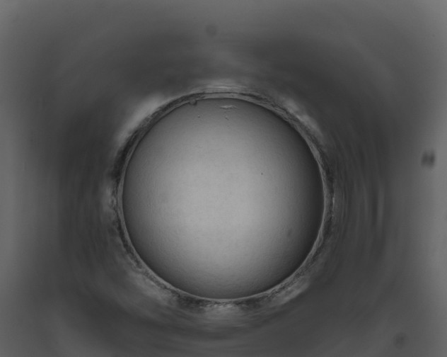 X0000093471454200710191135