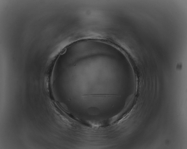 X0000093471455200710191135