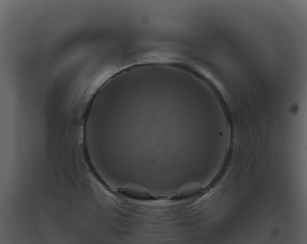 X0000093471459200710191135