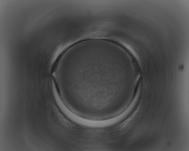 X0000093471461200710191135