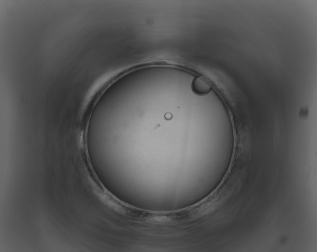 X0000093471462200710191135