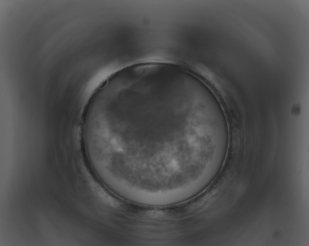 X0000093471463200710191135