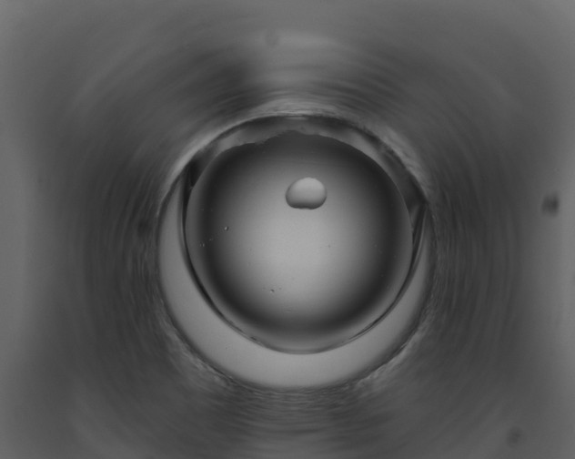 X0000093471465200710191135