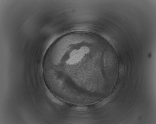 X0000093471466200710191134