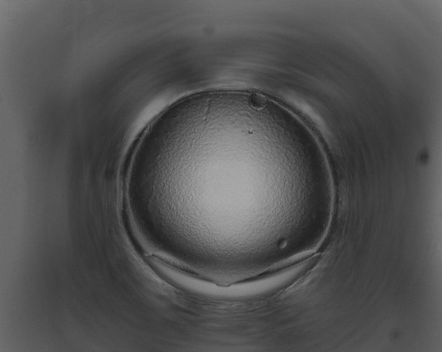 X0000093471467200710191134