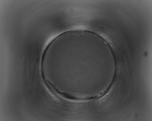 X0000093471469200710191134