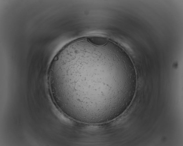 X0000093471470200710191134