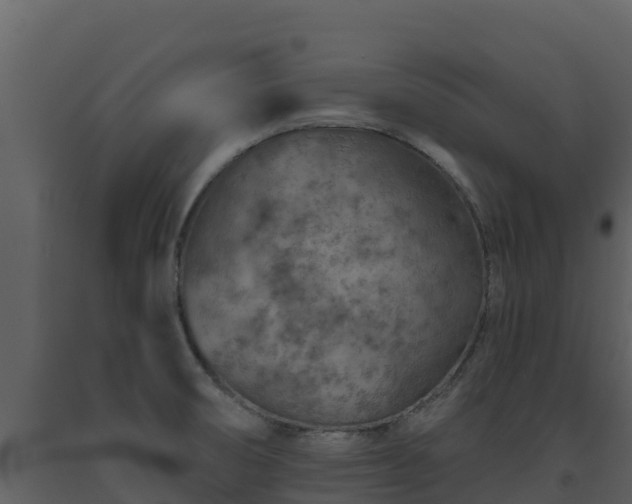 X0000093471474200710191134