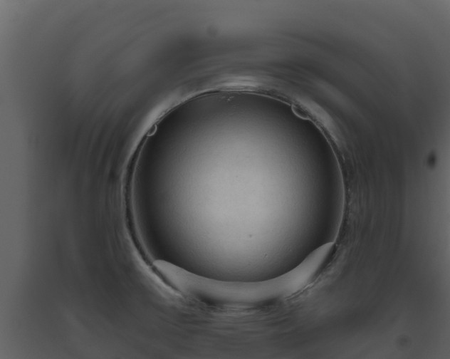 X0000093471475200710191134