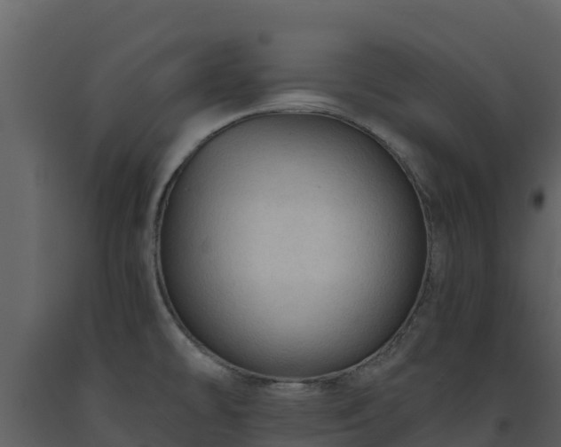 X0000093471478200710191134