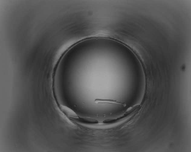 X0000093471480200710191134