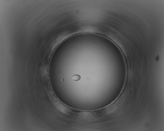 X0000093471481200710191134