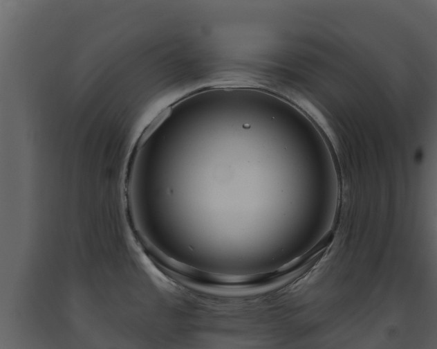 X0000093471485200710191134