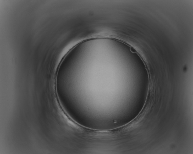 X0000093471486200710191134