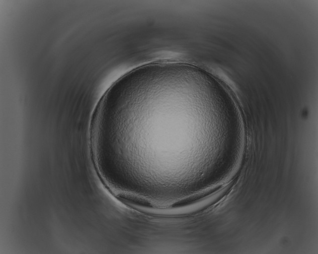 X0000093471487200710191134