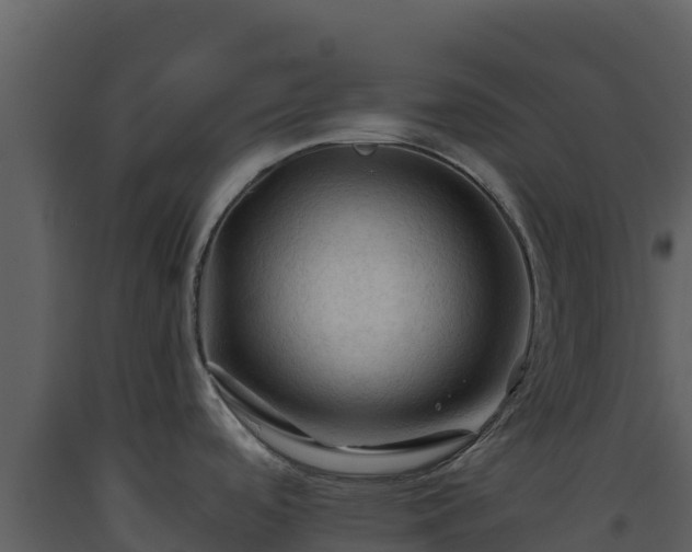 X0000093471488200710191134