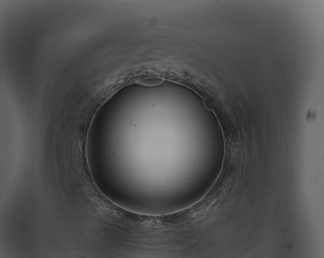 X0000093471489200710191133