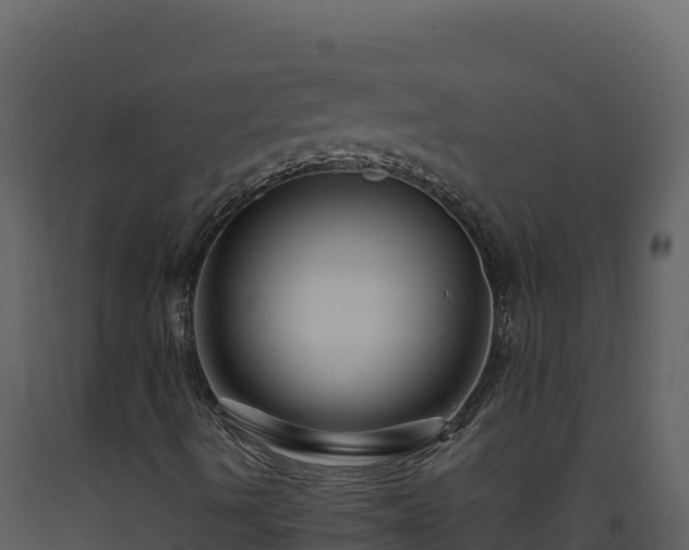 X0000093471490200710191134