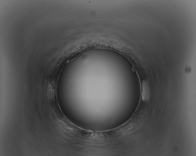 X0000093471491200710191134