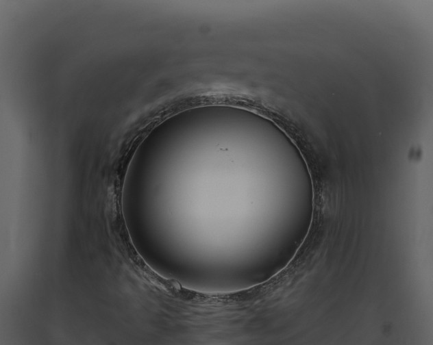 X0000093471493200710191134