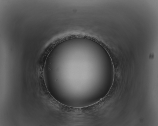 X0000093471495200710191134