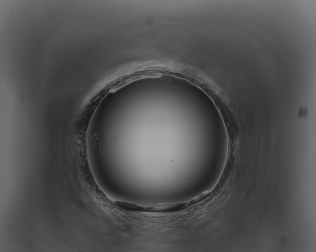 X0000093471496200710191134