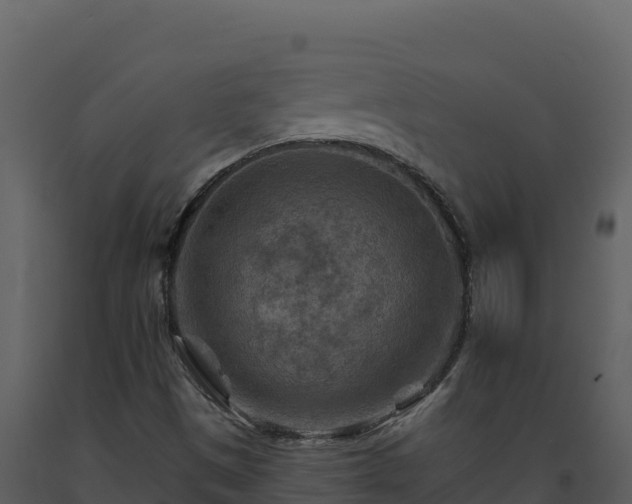 X0000093471497200710191134